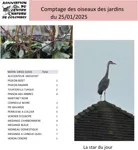 Comptage du 25 01 25.pdf
